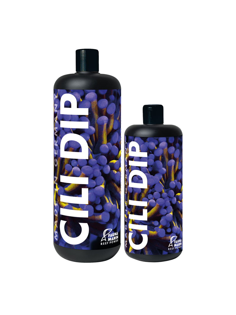 Fauna Marin CILI DIP