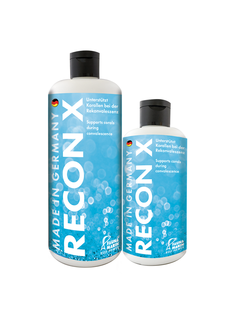 Fauna Marin Recon X