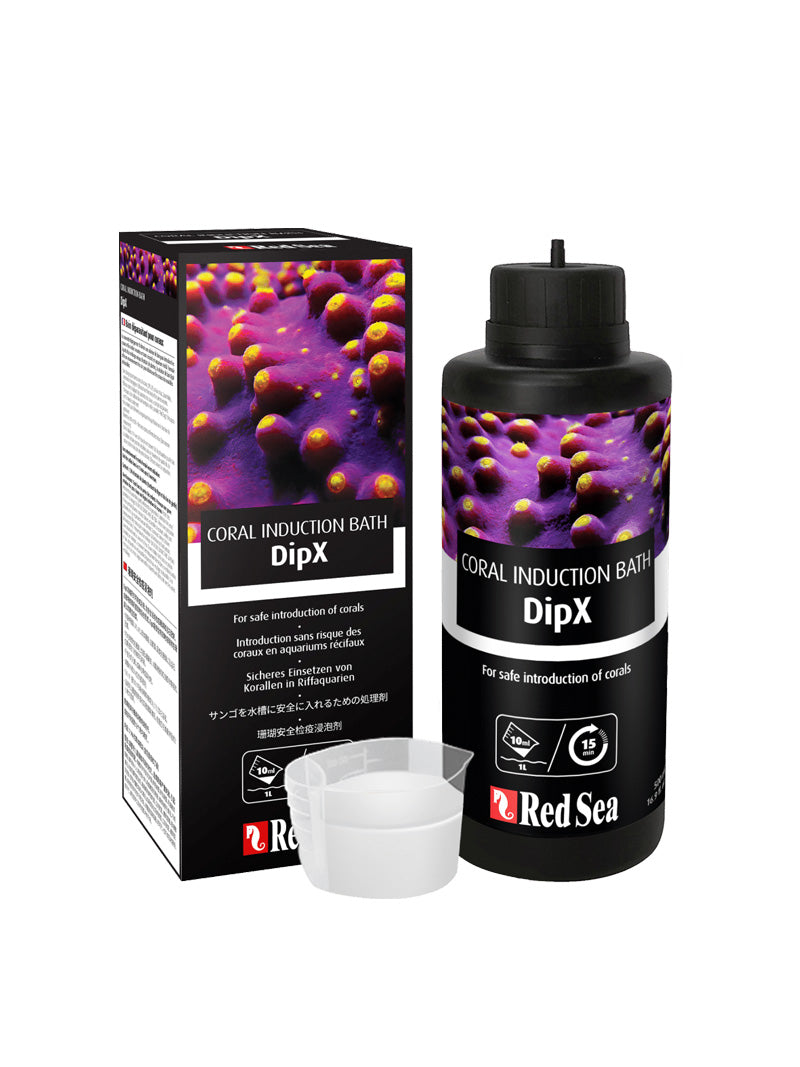 Red Sea DipX