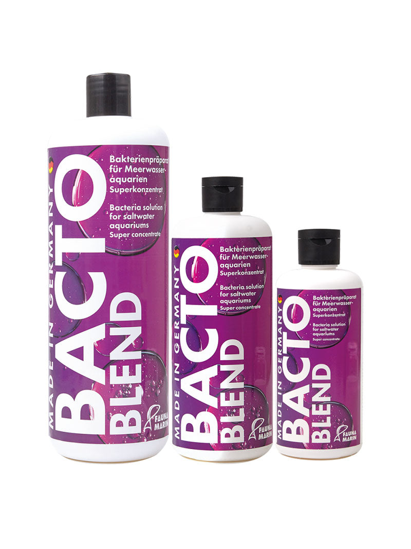Fauna Marin Bacto Blend 