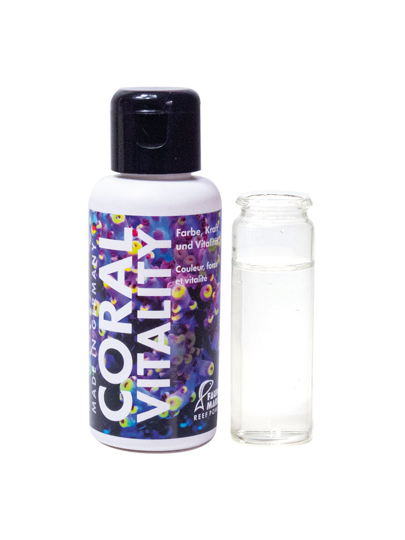 Fauna Marin Coral Vitality 