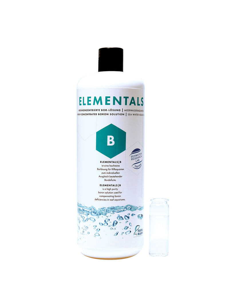 Fauna Marin Elements B