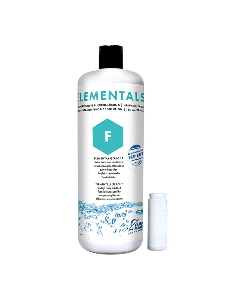 Fauna Marin Elements F