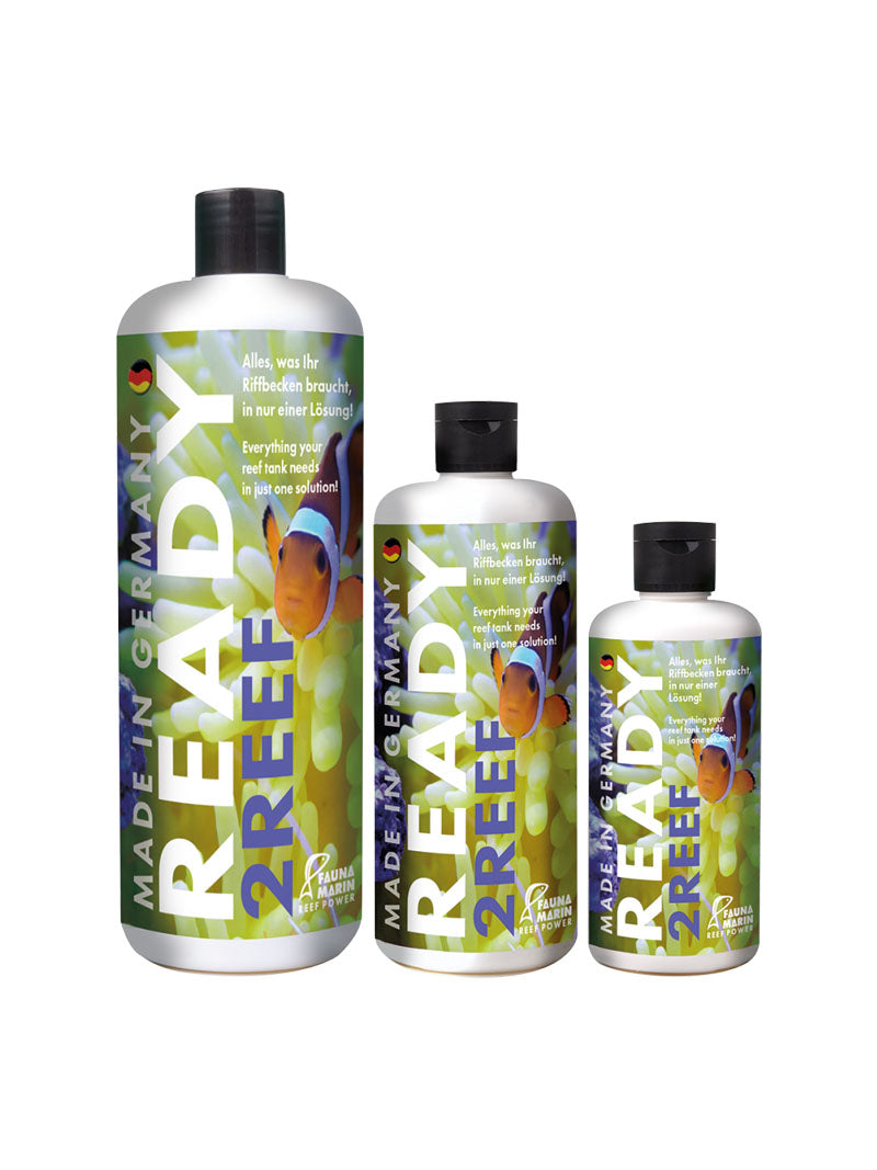 Fauna Marin READY2REEF