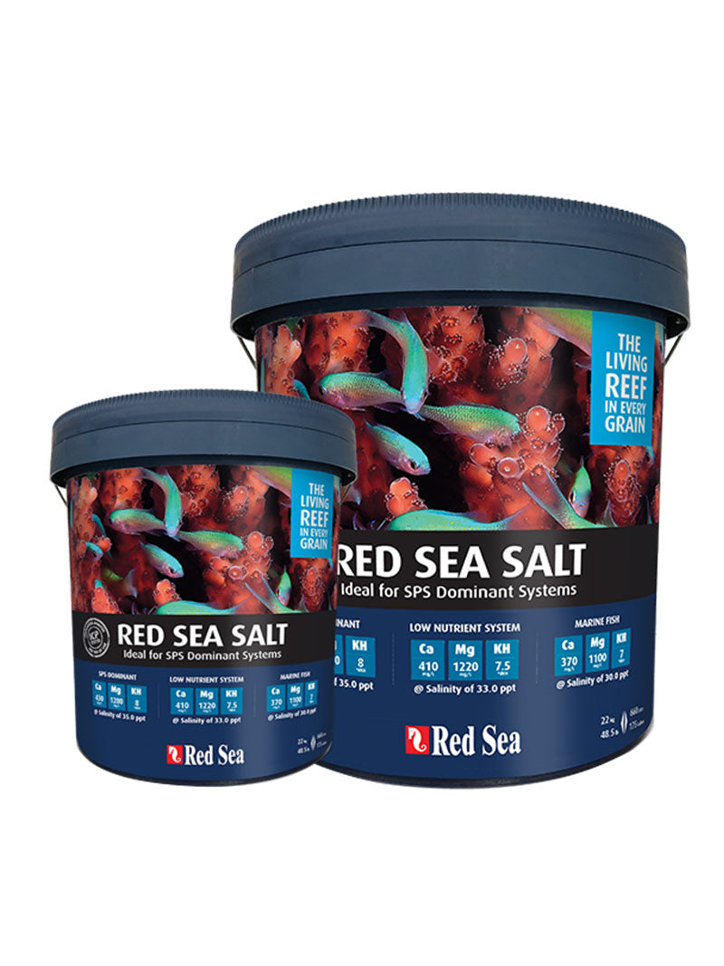 Red Sea Salt